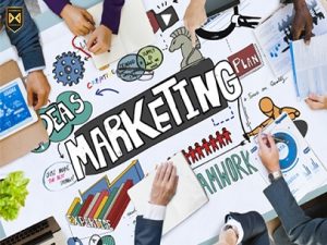 phòng marketing gồm những bộ phận nào